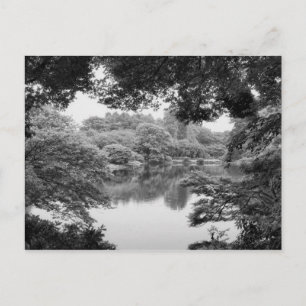 Schwarzweiß, cool, einzigartig Natur und See Postkarte