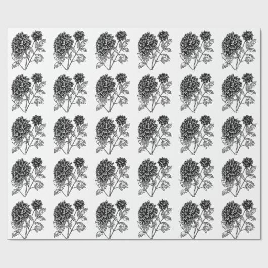 Schwarzweiss-Dahlie Geschenkpapier (Flach)