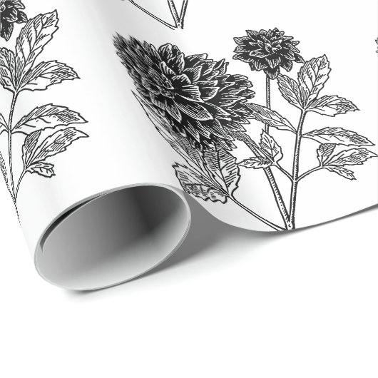 Schwarzweiss-Dahlie Geschenkpapier (Rolleneckpunkt)