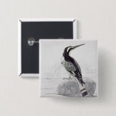 Schwarzweiss-Eisvogel Button (Vorne & Hinten)