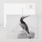 Schwarzweiss-Eisvogel Postkarte (Vorne/Hinten)