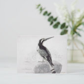 Schwarzweiss-Eisvogel Postkarte (Stehend Vorderseite)
