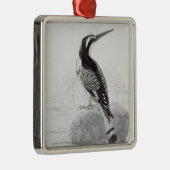 Schwarzweiss-Eisvogel Silbernes Ornament (Rechts)