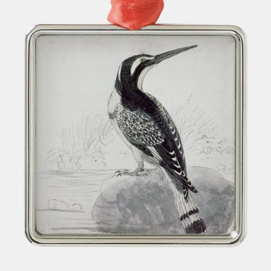 Schwarzweiss-Eisvogel Silbernes Ornament (Vorne)