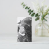 Schwarzweiss-Elefant Visitenkarte (Stehend Vorderseite)