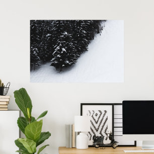 Schwarzweiß-Fichtenwald und Schnee Poster