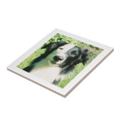 Schwarzweiß Fliese (Seite)