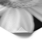 Schwarzweiß-Foto einer Blume Fotodruck (Ecke)