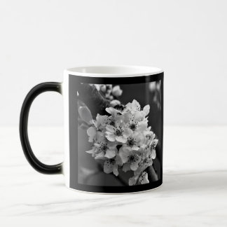 Schwarzweiß-Foto kleine weiße Blumen Verwandlungstasse