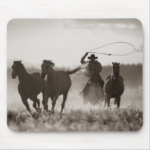 Schwarzweiss-Foto von ein Cowboy Lassoing Pferden Mousepad