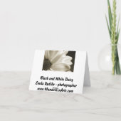 Schwarzweiss-Gänseblümchen Notecard Karte (Rückseite)