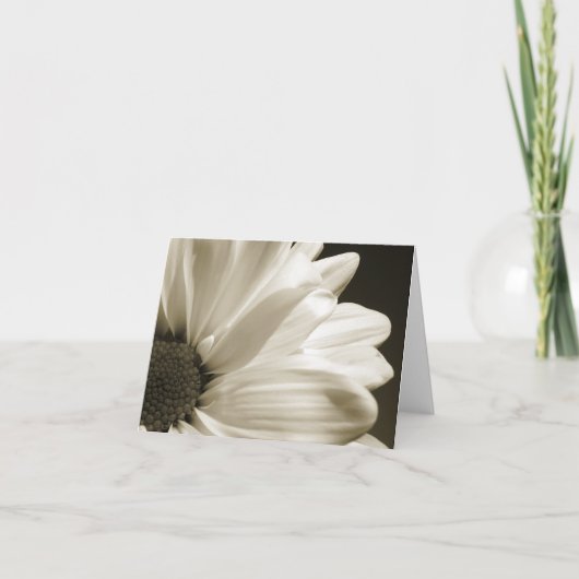 Schwarzweiss-Gänseblümchen Notecard Karte (Vorderseite)