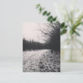 Schwarzweiß gefroren postkarte (Stehend Vorderseite)