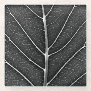 Schwarzweiß glühendes Blatt Nahaufnahme Glasuntersetzer