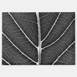 Schwarzweiß glühendes Blatt Nahaufnahme Magnet
