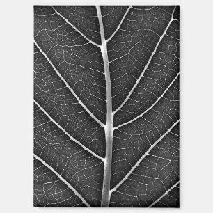 Schwarzweiß glühendes Blatt Nahaufnahme Magnet