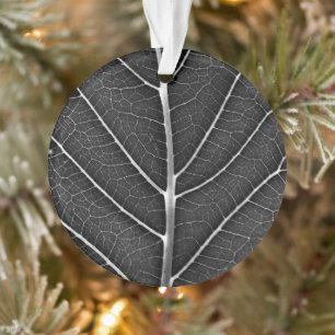 Schwarzweiß glühendes Blatt Nahaufnahme Ornament