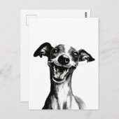 Schwarzweiß-Iggy | Niedlicher Italienischer Windhu Postkarte (Vorne/Hinten)
