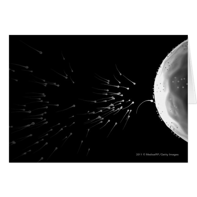 Schwarzweiss-Illustration der Düngung (Vorderseite (Horizontal))