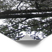 Schwarzweiß in der Natur Poster (Ecke)