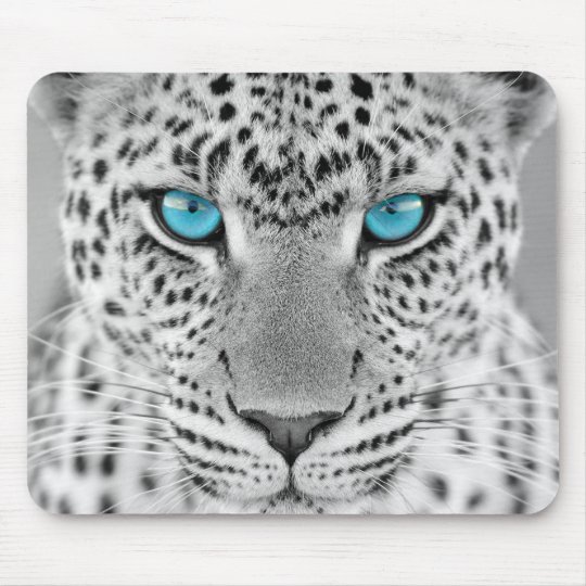 Schwarzweiss Jaguar Mit Blauen Augen Mousepad Zazzle De