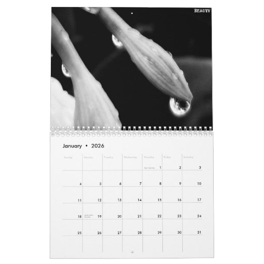 Schwarzweiss-Kalender 2010 Kalender (Jan 2026)