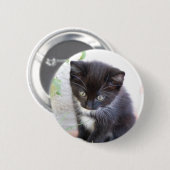Schwarzweiss-Kätzchen Button (Vorne & Hinten)