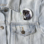 Schwarzweiss-Kätzchen Button (Beispiel)