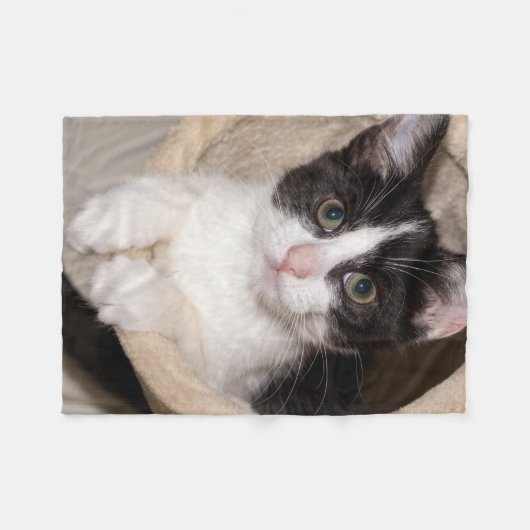 Schwarzweiss-Kätzchen Fleecedecke (Vorderseite (Horizontal))