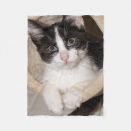 Schwarzweiss-Kätzchen Fleecedecke