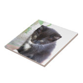 Schwarzweiss-Kätzchen Fliese (Seite)