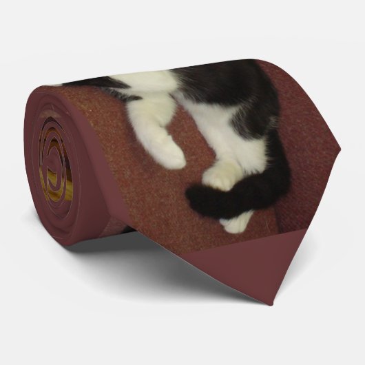 Schwarzweiss-Kätzchen Krawatte (Gerollt)