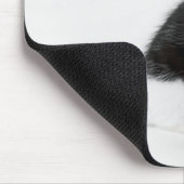 Schwarzweiss-Katze des niedlichen lustigen Mousepad (Ecke)