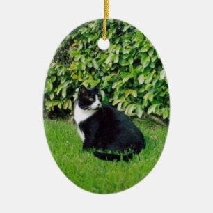 Schwarzweiss-Katze Keramik Ornament