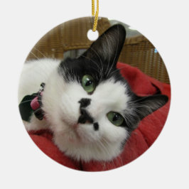 Schwarzweiss-Katze Keramik Ornament