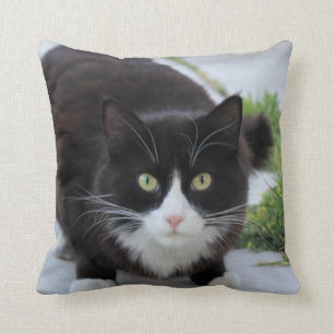 Schwarzweiss-Katze Kissen