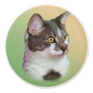 Schwarzweiss-Katze, kundengerecht Keramikknauf