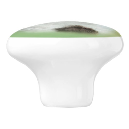 Schwarzweiss-Katze, kundengerecht Keramikknauf (Seitenansicht)