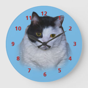 Schwarzweiss-Katze, kundengerechte Uhr