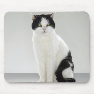 Schwarzweiss-Katze mit glühenden grünen Augen Mousepad