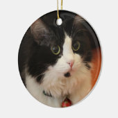 Schwarzweiss-Katze mit runden Augen Keramik Ornament (Links)