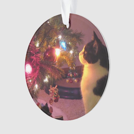 Schwarzweiss-Katze mit Weihnachtsbaum-Verzierung Ornament (Vorderseite)