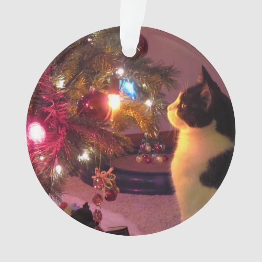 Schwarzweiss-Katze mit Weihnachtsbaum-Verzierung Ornament (Vorderseite)