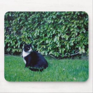 Schwarzweiss-Katze Mousepad