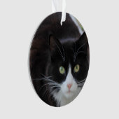 Schwarzweiss-Katze Ornament (Vorderseite)