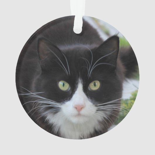 Schwarzweiss-Katze Ornament (Rückseite)