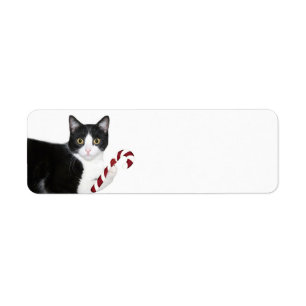 Schwarzweiss-Katze Weihnachten