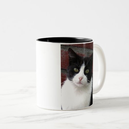 Schwarzweiss-Katze Zweifarbige Tasse (VorderseiteRechts)