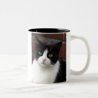 Schwarzweiss-Katze Zweifarbige Tasse