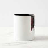 Schwarzweiss-Katze Zweifarbige Tasse (Mittel)